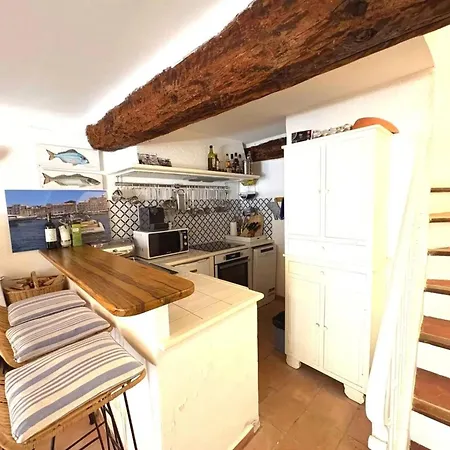 Maison De Village Charme Centre Avec Rooftop - Fr-1-728-22 Nyaraló Saint-Tropez